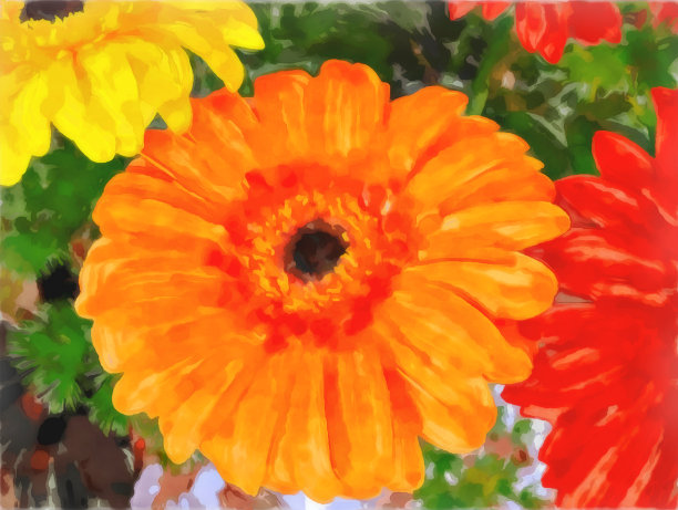 鲜艳的花拢来了。Watercolorl绘画。图片下载