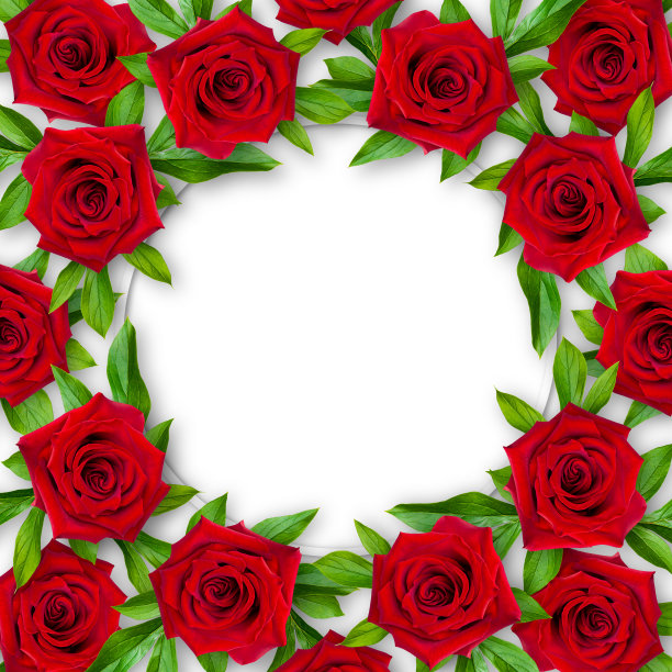 背景红玫瑰和绿色的叶子围绕在一个白色的背景。复古风格。实物模型。图片下载