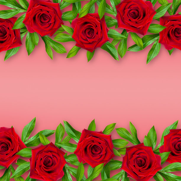 背景红玫瑰和绿叶上的珊瑚背景。横向插花。复古风格。实物模型。图片下载