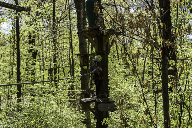 在森林里的攀爬课程，有个人在行动图片下载
