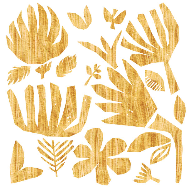 拼贴收集明亮的金花叶子枝在白色孤立的背景上手绘丙烯酸和水粉植物花组纹理图片下载