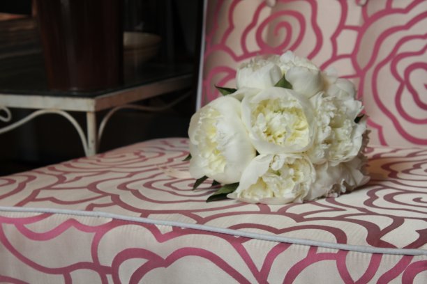 休息的花图片下载