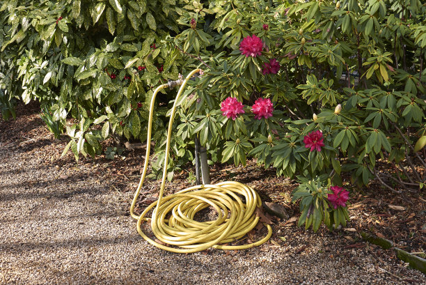 花园与灌木和水管图片下载