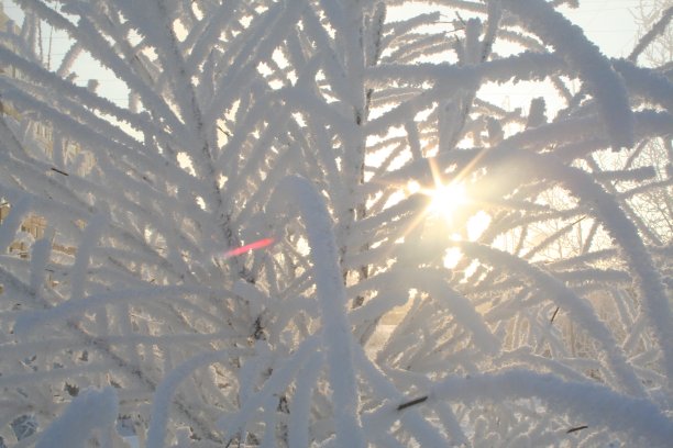 冬天的太阳图片下载