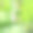 色彩概念:绿色拼贴(植物和物体)图片下载