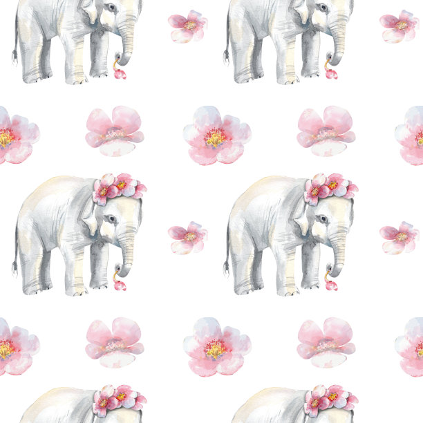 模式与大象图片下载