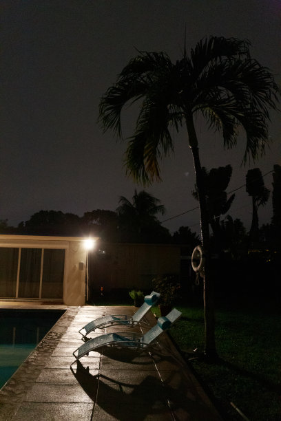 棕榈树剪影，后院游泳池图片下载