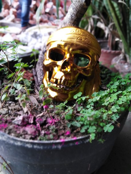 虚伪的面具图片下载