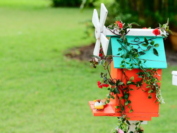 绿色背景中的彩色木鸟屋图片下载