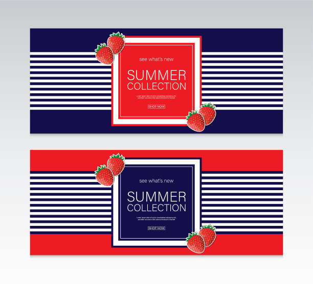 夏季集合向量横幅。图片下载