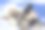 山顶登记山山顶加拿大落基山脉图片下载