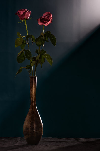 花瓶里的玫瑰图片下载