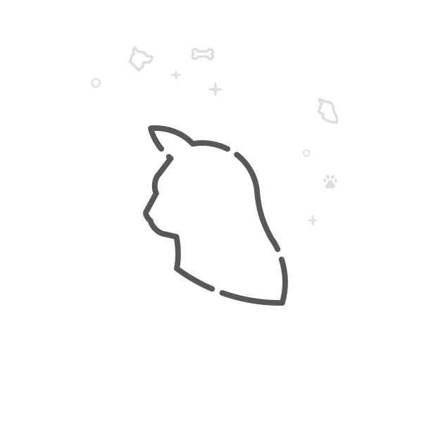 猫头轮廓向量线图标，符号，象形图，符号。光抽象几何背景。可编辑的中风图片下载