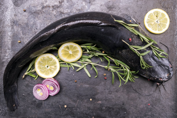 用香料和迷迭香烹制鲶鱼图片下载