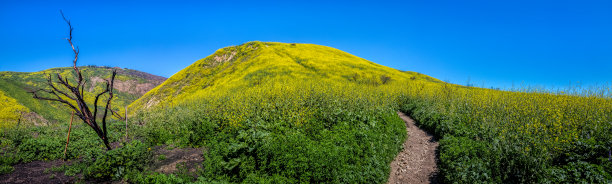 畜栏峡谷超级Bloom全景图图片下载