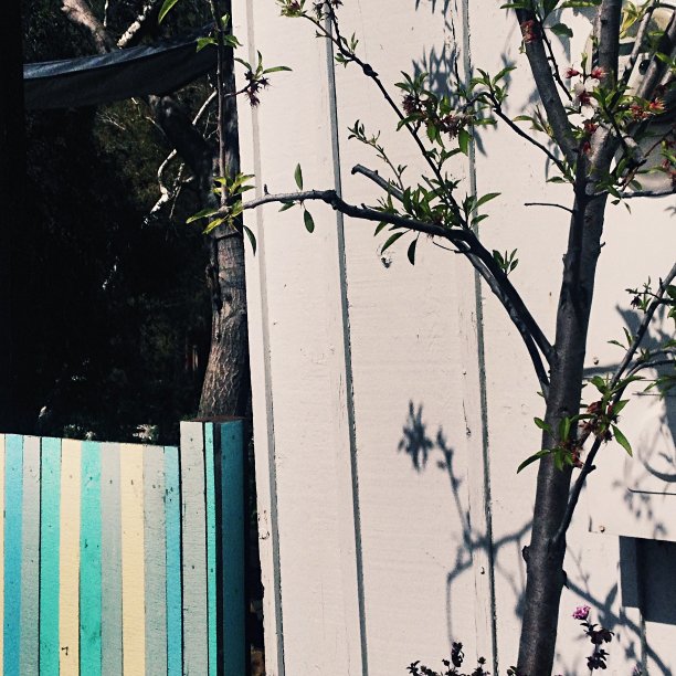 景观设计采用蓝、黄、灰三色木栅栏图片下载