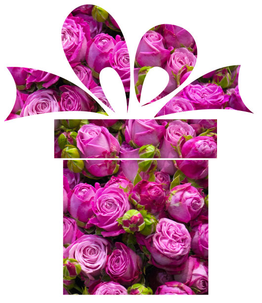 假日盒子孤立在白色背景图片下载