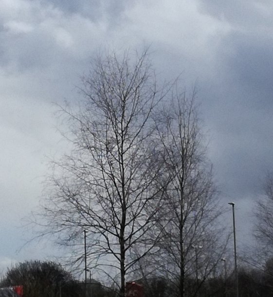 喜怒无常的图片下载