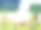 人们做运动和放松在城市公园的样本文本图片下载