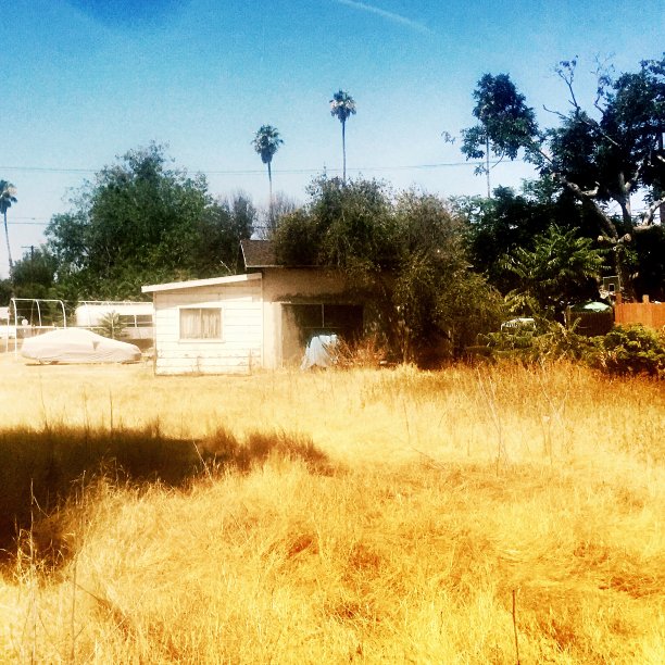 有野草的废弃房子图片下载