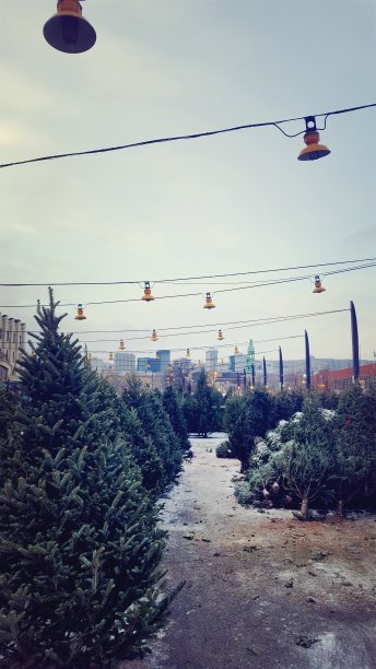 FIR 市场图片下载