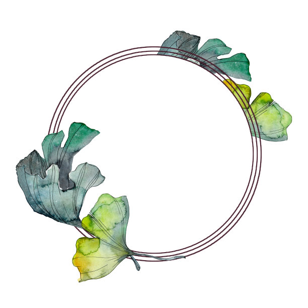 银杏叶。水彩背景插图集。边框装饰方形。图片下载