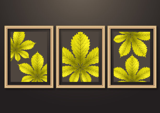 一套悬挂装饰框架的照片和图像与阴影效果。栗子的叶子鲜艳有创意。黑暗的背景。图片下载