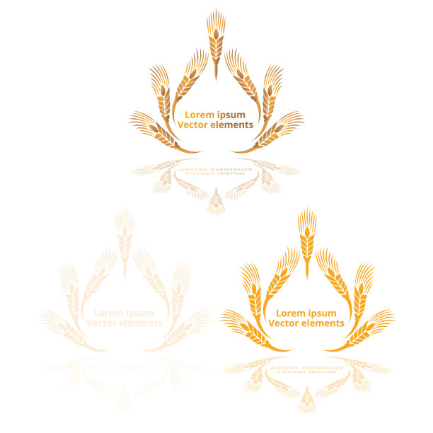 白色背景上的金色麦穗、燕麦或大麦矢量标识套装图片下载