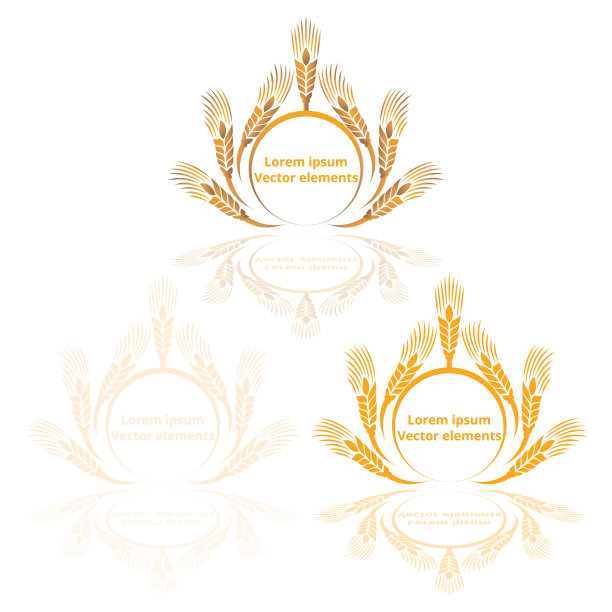 白色背景上的金色麦穗、燕麦或大麦矢量标识套装图片下载