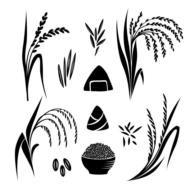 水稻植物和谷物收集，矢量孤立的轮廓为设计。饭团和碗。图片下载