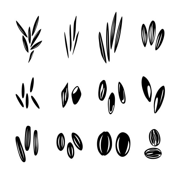 米粒类型收集，矢量孤立轮廓设计图片下载