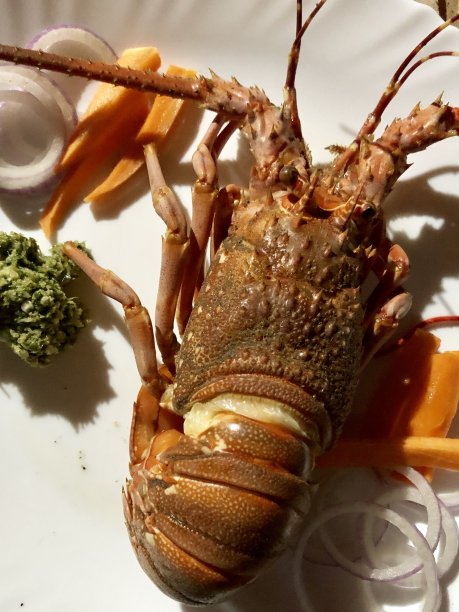 煮多刺的印度龙虾海鲜晚餐配红洋葱圈沙拉，绿色辣椒花园酸辣酱，龙虾尾巴的照片图片下载