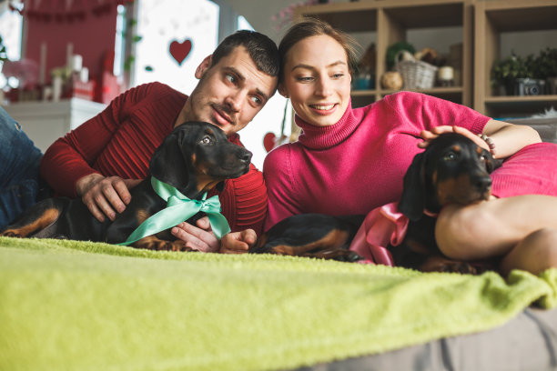 杜宾犬享受拥抱时光图片下载