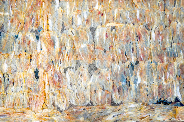 泰国芭堤雅海鲜市场的海鲜干鱼图片下载