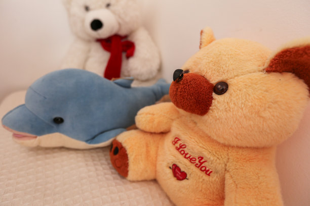 两只小泰迪熊图片下载