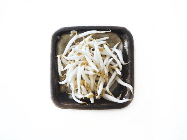 豆芽孤立白色背景图片下载