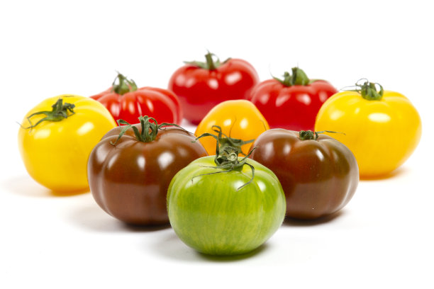 多种颜色的西红柿在白色的背景图片下载