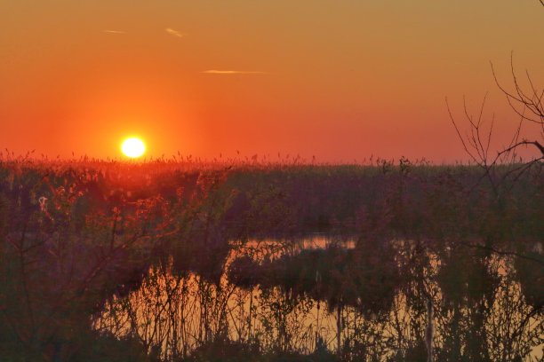 池塘上的日落图片下载