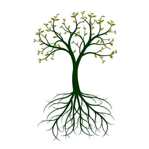白色背景上有根的绿树。矢量插图。图片下载