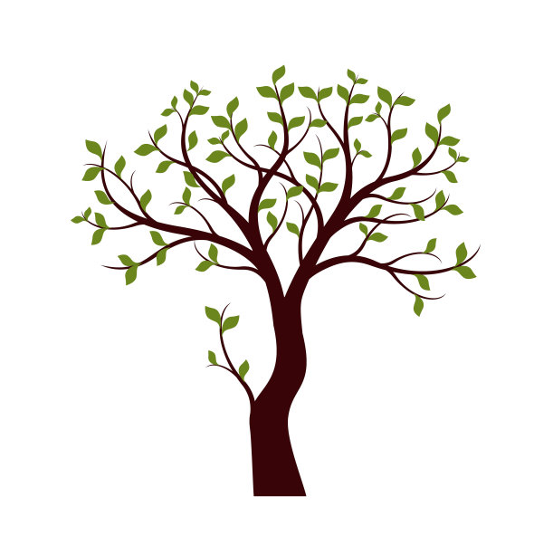树上长着绿色的叶子。矢量插图。图片下载