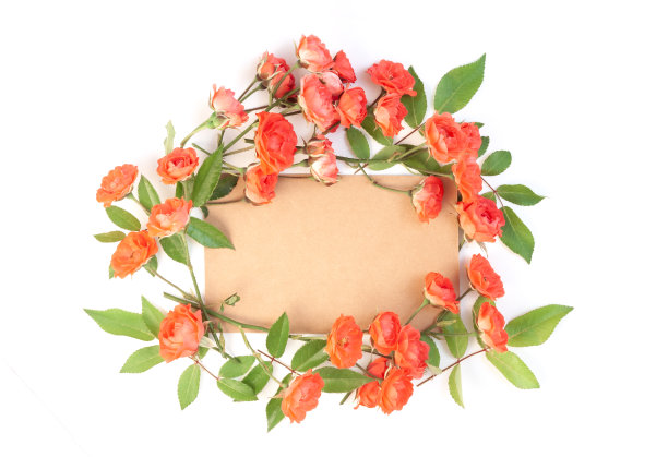 以玫瑰花为背景的白色框架图片下载