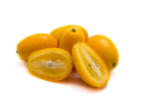 在白色背景上孤立的枝上的金橘图片下载