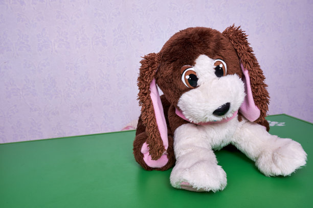 绿色背景下可爱的小狗。漂亮的毛绒玩具狗坐在桌子上看守着他。本空间图片下载