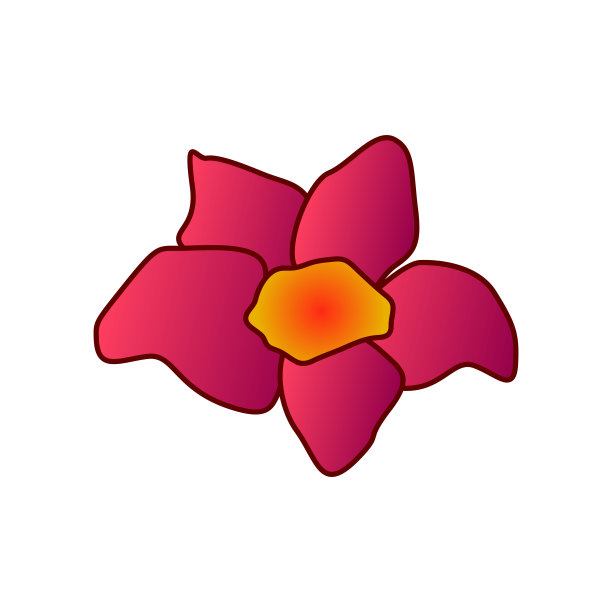 粉红色的花图片下载