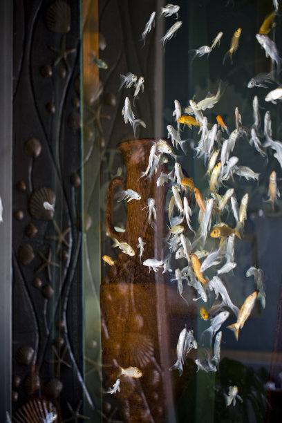 水族馆鱼类图片下载