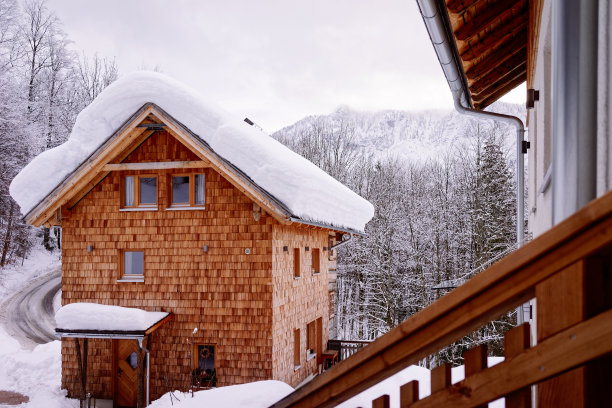 奥地利Bad Goisern的住宅建筑和冰雪景观图片下载