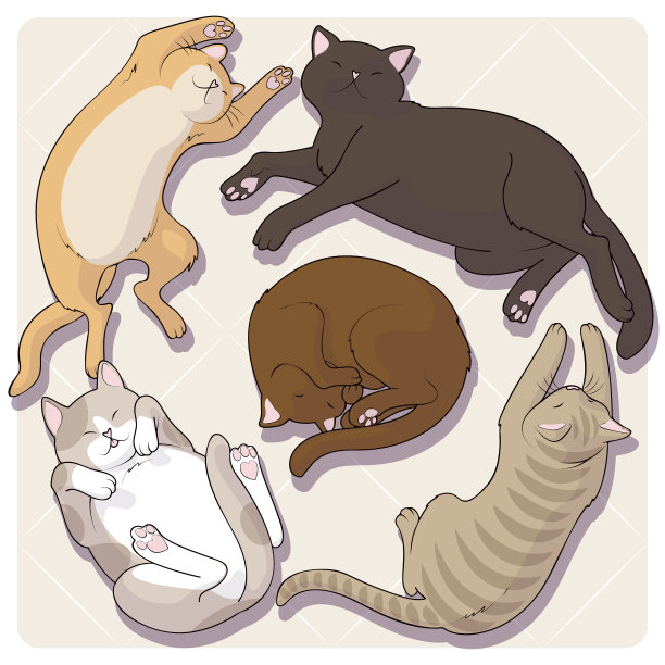 收集可爱的卡通猫在各种姿势。矢量图素材图片