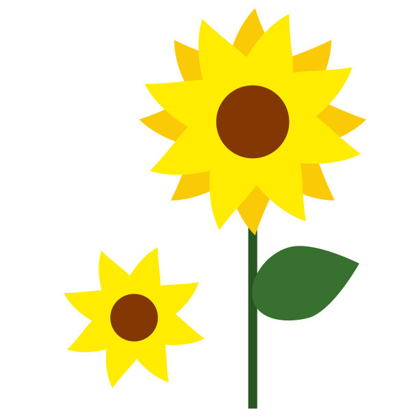 向日葵平面简单插图素材图片
