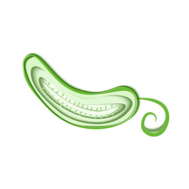 纸切成一半的绿黄瓜。载体纸工艺设计形式为成熟黄瓜切片蔬菜配叶。矢量插图。纸贴花艺术风格蔬菜。折纸的概念。图片下载