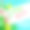春天的背景与绿色的叶子和鲜花在时尚的几何背景。矢量插图。海报，传单，小册子或优惠券的新鲜模板设计图片下载